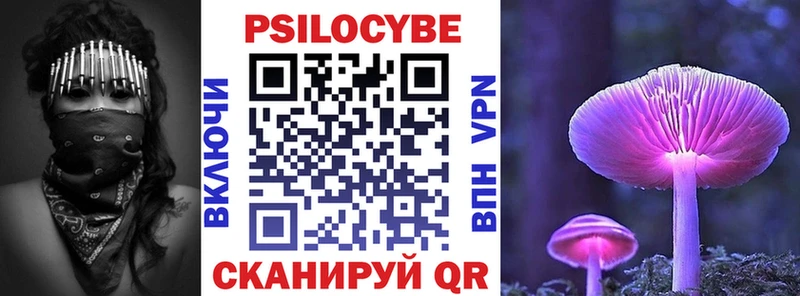 купить наркоту  Вятские Поляны  мега ссылка  Псилоцибиновые грибы Cubensis 